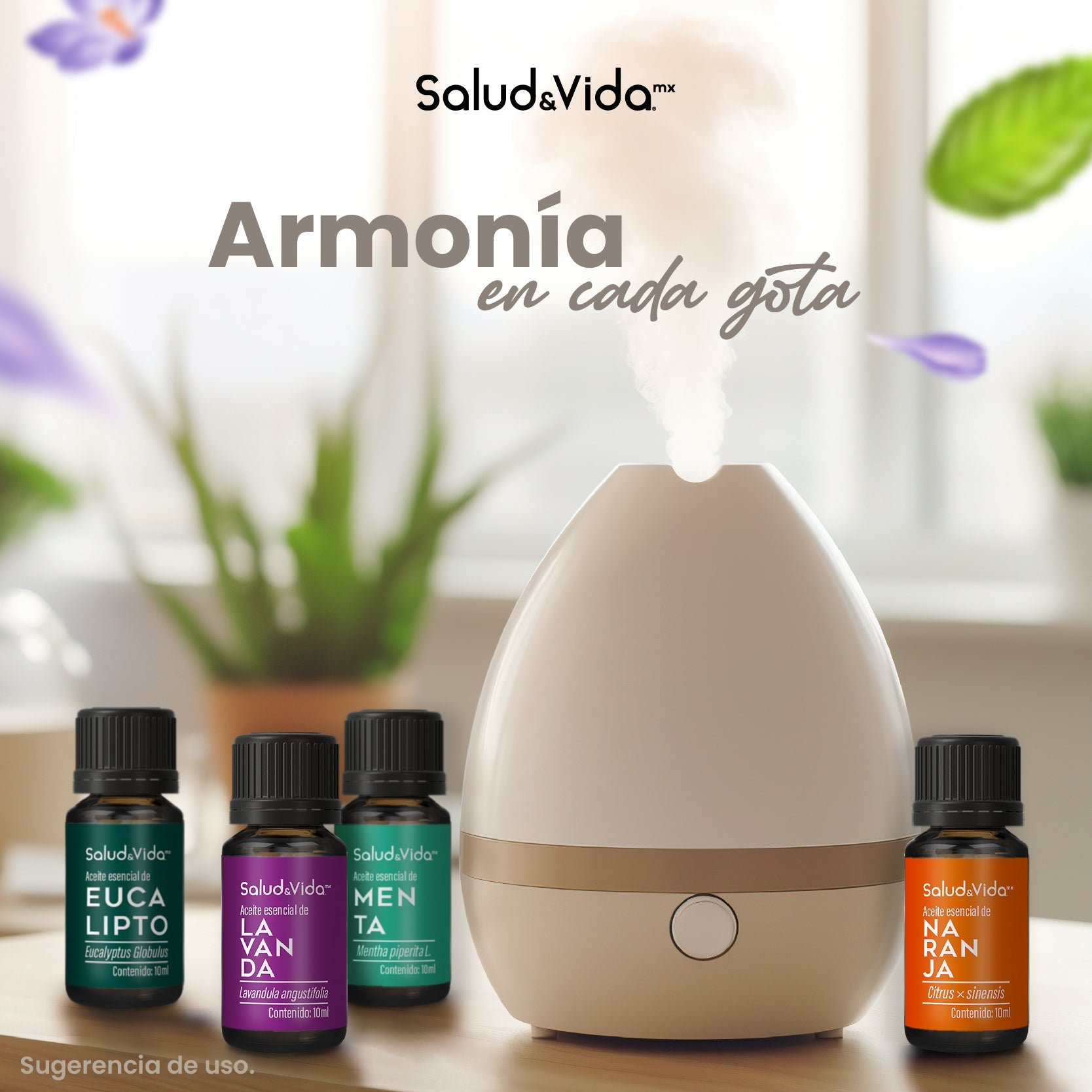 S&V - Kit de 6 Aceites esenciales para Aromaterapia