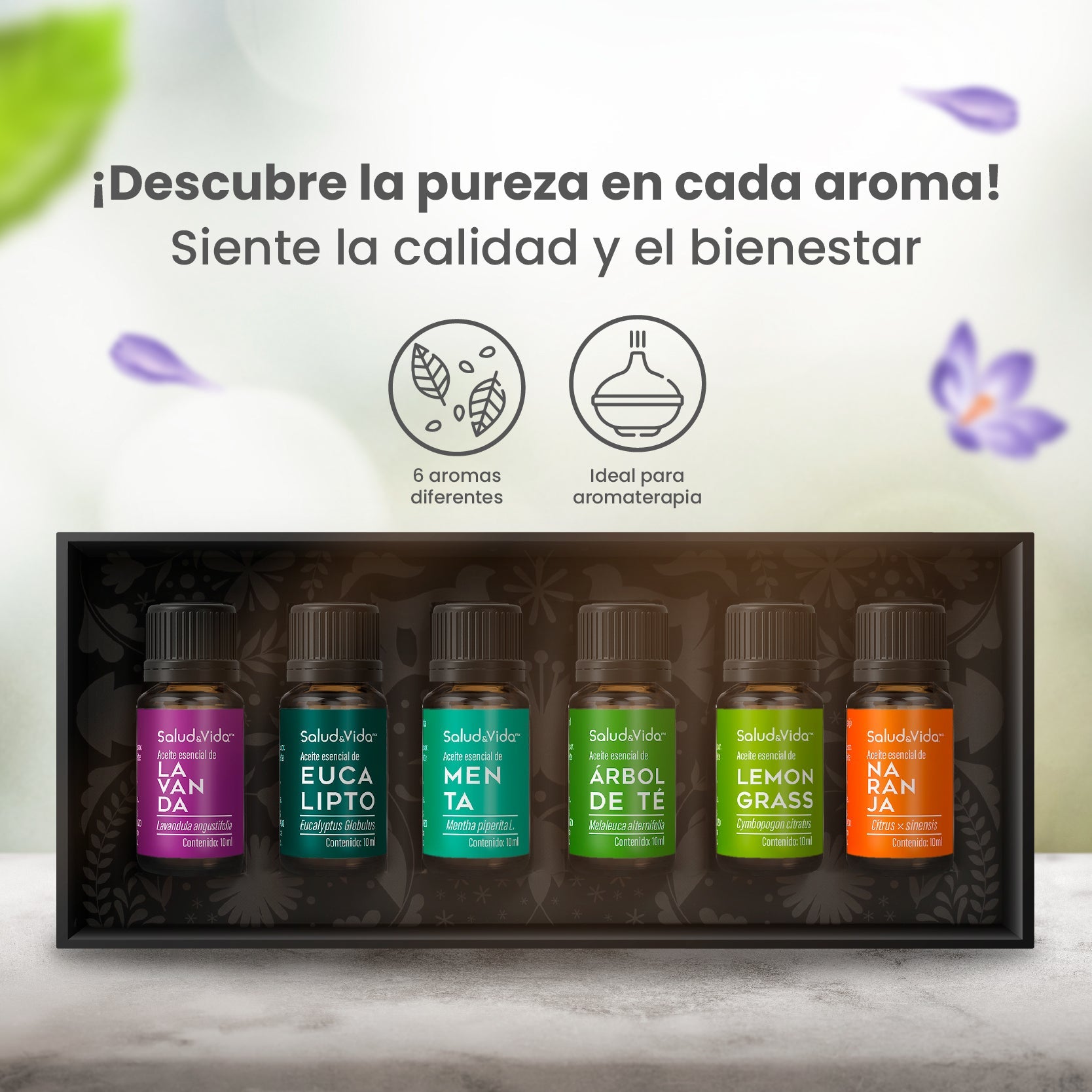 S&V - Kit de 6 Aceites esenciales para Aromaterapia