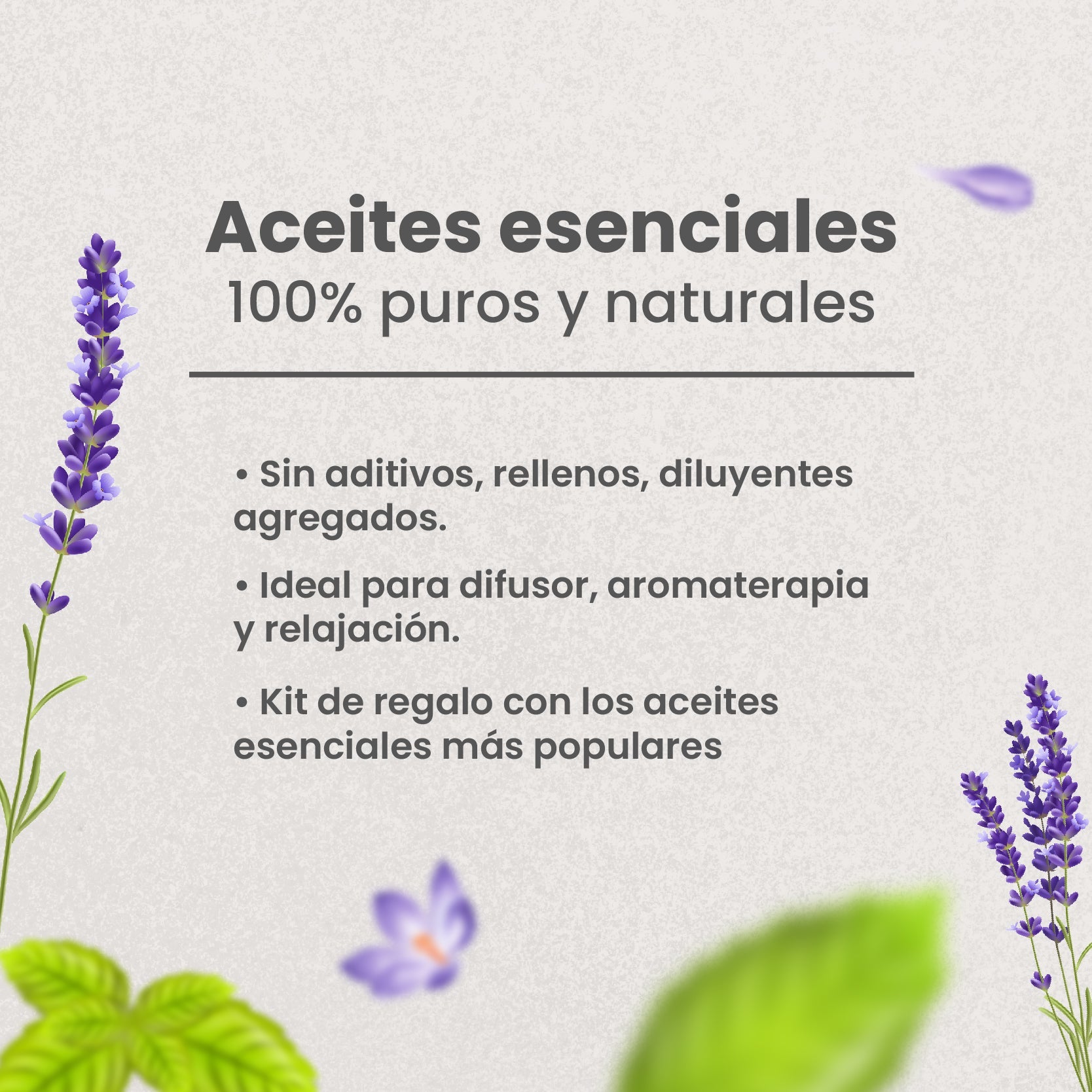 S&V - Kit de 6 Aceites esenciales para Aromaterapia